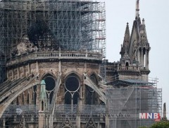 Нотр Дамыг сэргээн босгох асуудал маргаан дагуулаад байна 