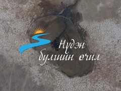 Нүдэн булгийн өчил