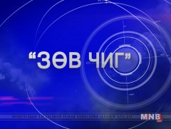 Зөв чиг: Сайн дурын ажилтан Б.Жавзандулам