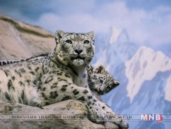 Улаан номонд багтсан уулын эзэн