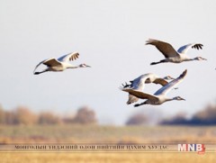 Сарын хуучийн тэнгэр