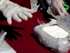 67.9 тонн хар тамхийг хураан авчээ