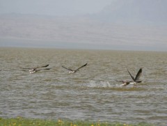 Усны сан бүхий газрын хамгаалалтын бүсийн 1.5 сая га газрын хилийн цэс тогтоолоо