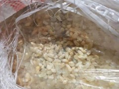 Хөгцөрсөн 60 тонн цагаан будааг буцаав