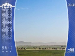 Соёолон насны морьд гарааны зурхай руу хөдөллөө