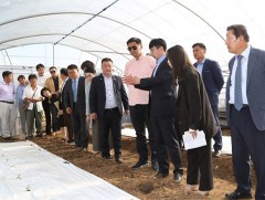 ЭКО дүүрэгт Хаман хот тарвасны хүлэмж бэлэглэлээ