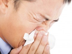 Ургамлын тоосны харшлаас сэргийлж болно