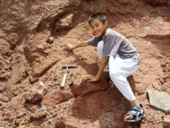 Есөн настай хүү үлэг гүрвэлийн өндөг олжээ