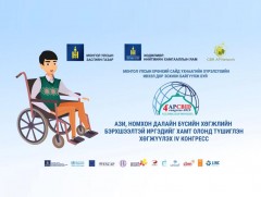 Хөгжлийн бэрхшээлтэй хүнийг хамт олонд түшиглэн хамруулан хөгжүүлэх Ази, Номхон далайн бүсийн IV к..