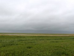 Дорнод Монголын хээр талыг Дэлхийн өвд бүртгүүлнэ