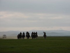 АРАВТ: Монголын баг морь сэлгэх цэгт үүргээ амжилттай гүйцэтгэлээ