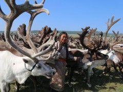 “Цаатны наадам-2000 цааны баяр” боллоо