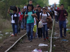 НҮБ: Дэлхийн бүх цагаачийн тал орчим хувь нь 10-аад улсад л аж төрдөг