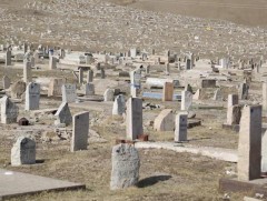 Нийслэлийн нутаг дэвсгэрт оршуулгын үйл ажиллагаа зохион байгуулах журмын шинэчлэн өргөн барина