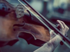 Урлаг соёлын мэдээлэл