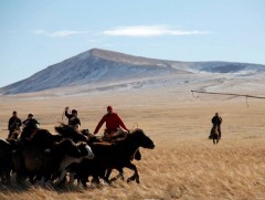 “Агтана хүрээт” соёлын наадам болно 
