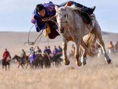 “Талын түмэн адуу”-ны баяр Хэнтий аймагт болно