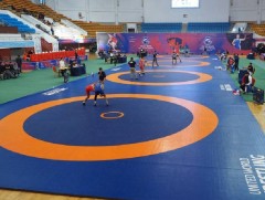 Чөлөөт бөхийн оюутан, залуучуудын олон улсын тэмцээн болно