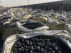 ОНЦЛОХ СЭДЭВ: Агаарын бохирдол ба сайжруулсан шахмал түлшний хэрэглээ 