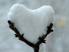 Цасны тухай содон бөгөөд сонирхолтой баримтууд 