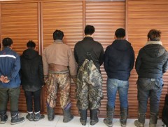 74 сая төгрөгийн хохирол учруулсан гэмт хэргийг илрүүллээ