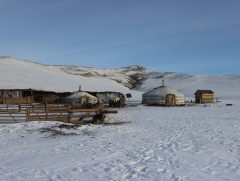 Талын монгол айл 