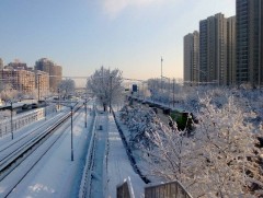 Бээжинд цас орсны улмаас нислэг цуцлагдаж, автобусны маршрут өөрчлөгджээ