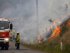 Австралийн өмнөд бүсийн Шинэ Өмнөд Вэльс муж онц байдал зарлалаа
