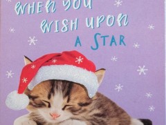 Зул сарын ил захидал хэвлэдэг компани хоригдлуудаар албадан хөдөлмөр эрхлүүлдэг гэдгийг үгүйсгэлээ