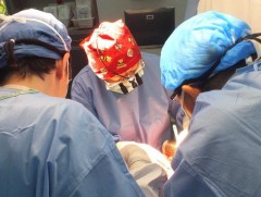 2019 онд тархины үхэлтэй 19 донороос эд эрхтэн шилжүүлэн суулгажээ