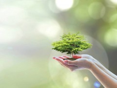 “Дэлхийн модны өдөр” “Өв уламжлал” сэдвийн дор Японд болно