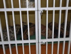 Архидан согтуурч зөрчил гаргасан 1307 хүнийг эрүүлжүүллээ