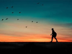 ДЭМБ олон улсын аялагчдад зөвлөмж гаргалаа