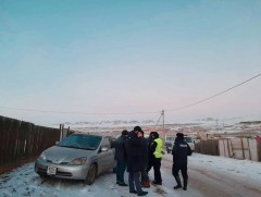 Нэн ховор хойлог шувууг агнаж, худалдаалах гэж байсан этгээдүүдийг баривчиллаа