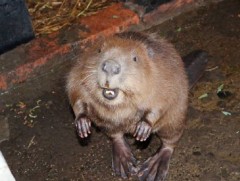 Минж нутагшуулах төвийн сургалтын байрыг дулаалав