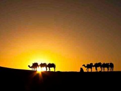 Их замбативийн наран