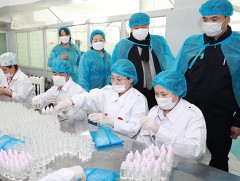 Хотын дарга 