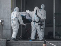 Коронавирусийн халдвар авсан хүний тоо нэмэгдэж байгаа ч өвчтөнүүд эдгэж байна гэв