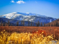 “Түүхийн жимээр” Бурхан халдун уулын тухай