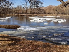 “Туульсийн хавар” уран сайхны нийтлэл 