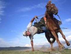 Ч.Ганбат “Уурга шүүрлээ” зургийнхаа эх хувийг адуучин залуугийн гэр бүлд дурсгалаа