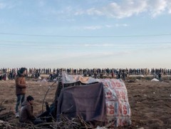 Грекийн хил дээр цугласан дүрвэгчдийг сайн дураараа буцахад нь 2 мянган евро өгнө