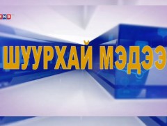 Шуурхай мэдээ 