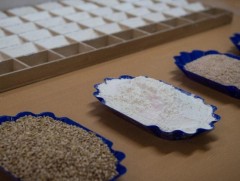 Евразийн эдийн засгийн холбооны орнуудаас зарим төрлийн бүтээгдэхүүн экспортлохыг хориглов 