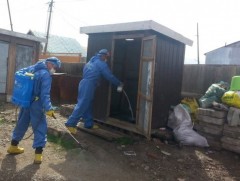 Ариутгал, халдваргүйжүүлэлтийн ажил эрчимтэй хийгдэж байна