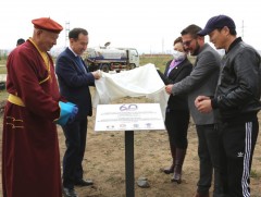 Жаран жилийн ойн нэрэмжит 