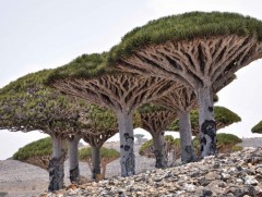 Дэлхийн хамгийн алслагдмал 10 газрын тухай сонирхолтой мэдээлэл