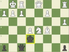 Шатрын онлайн ганцаарчилсан нээлттэй тэмцээний дүн гарлаа