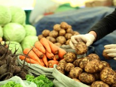 Өргөн хэрэглээний ногоог хэрхэн зөв хадгалах вэ