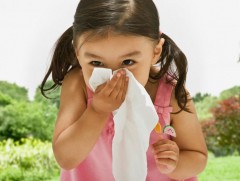 Ургамлын тоосны харшлаас сэргийлэх аргууд...